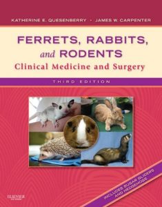Baixar Ferrets, Rabbits and Rodents – E-Book: Clinical Medicine and Surgery pdf, epub, eBook