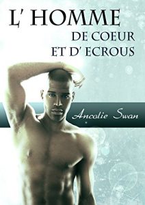 Baixar L’homme de Coeur et d’Ecrous (French Edition) pdf, epub, eBook