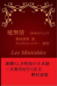 Baixar aamujou: sinnjigenndaigohyouki (Japanese Edition) pdf, epub, eBook