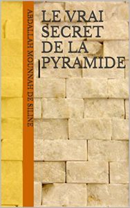Baixar LE VRAI SECRET DE LA PYRAMIDE (French Edition) pdf, epub, eBook