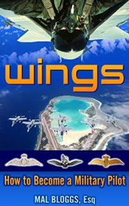 Baixar WINGS – HOW TO BECOME A MILITARY PILOT (English Edition) pdf, epub, eBook