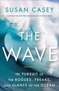 Baixar The Wave: In Pursuit of the Rogues, Freaks and Giants of the Ocean pdf, epub, eBook