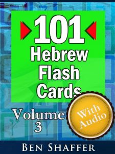Baixar 101 Essential Hebrew Flash Cards With Audio – Volume 3 (English Edition) pdf, epub, eBook