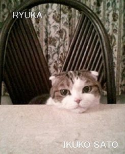 Baixar ryuka (Japanese Edition) pdf, epub, eBook