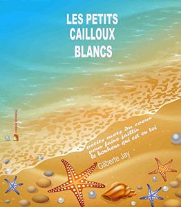 Baixar LES PETITS CAILLOUX BLANCS: Petits mots du coeur pour faire jaillir le bonheur qui est en toi. (Portes du bonheur t. 1) (French Edition) pdf, epub, eBook