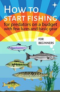 Baixar How to start fishing for predators on a budget with few lures and basic gear (English Edition) pdf, epub, eBook