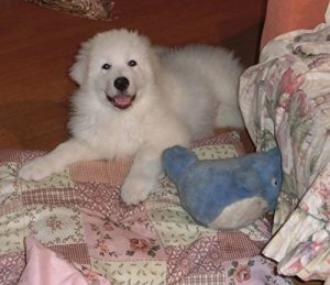 Baixar Good Bye Jeoffrey (Japanese Edition) pdf, epub, eBook