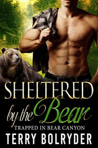 Baixar Sheltered by the Bear (Trapped in Bear Canyon Book 1) (English Edition) pdf, epub, eBook