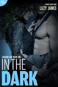 Baixar In The Dark (An Erotic Noir Romance Novella): Chasing Her Book One (English Edition) pdf, epub, eBook