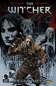 Baixar The Witcher, Band 1: Im Glashaus (German Edition) pdf, epub, eBook