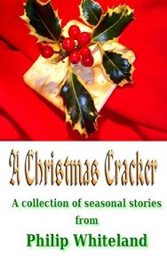 Baixar A Christmas Cracker: A collection of seasonal stories (English Edition) pdf, epub, eBook