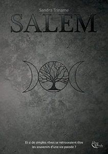 Baixar Salem: Un roman de bit lit pdf, epub, eBook