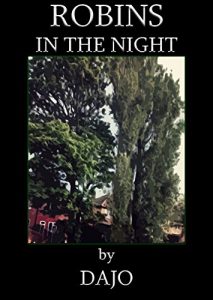 Baixar Robins in the Night (English Edition) pdf, epub, eBook