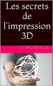 Baixar Les secrets de l’impression 3D: La fin de l’industrie de masse (French Edition) pdf, epub, eBook