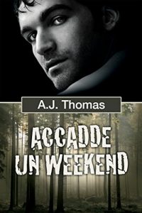 Baixar Accadde un weekend (Serie Colleghi improbabili Vol. 1) (Italian Edition) pdf, epub, eBook