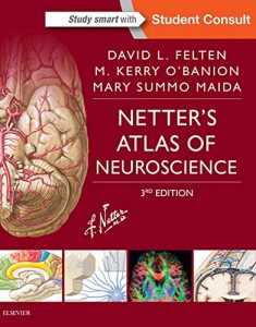 Baixar Netter’s Atlas of Neuroscience E-Book (Netter Basic Science) pdf, epub, eBook