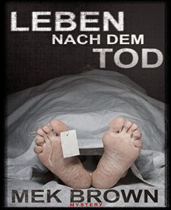 Baixar Leben nach dem Tod (German Edition) pdf, epub, eBook