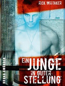 Baixar Ein Junge in guter Stellung: Bekenntnisse eines Strichers (German Edition) pdf, epub, eBook