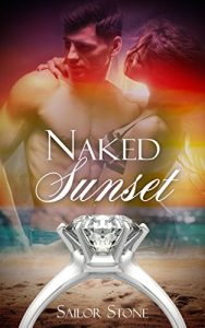 Baixar Naked Sunset (Naked Nights) pdf, epub, eBook