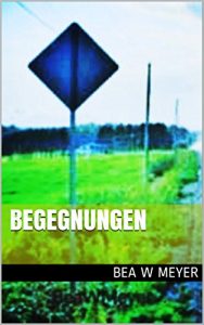 Baixar BEGEGNUNGEN (German Edition) pdf, epub, eBook