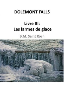 Baixar Dolemont Falls, Livre III: Les larmes de glace (French Edition) pdf, epub, eBook