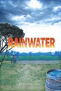Baixar The Rainwater Secret (English Edition) pdf, epub, eBook