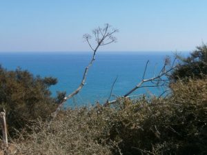 Baixar Eine ganz normale Wohnmobilreise nach Sizilien. (German Edition) pdf, epub, eBook