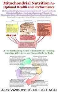 Baixar Mitochondrial Nutrition for Optimal Health and Performance: The Streamlined Digital Companion excerpted from Dr Vasquez’s Textbooks (English Edition) pdf, epub, eBook