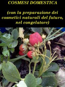 Baixar COSMESI DOMESTICA (Italian Edition) pdf, epub, eBook