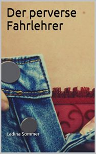 Baixar Der perverse Fahrlehrer: Unzensierte Erotik ab 18. Jahren (German Edition) pdf, epub, eBook