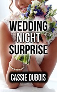Baixar Wedding Night Surprise (A Wife Sharing Short) (English Edition) pdf, epub, eBook