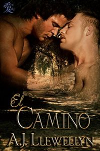 Baixar El Camino (Spanish Edition) pdf, epub, eBook