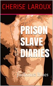 Baixar Prison Slave Diaries: Jailhouse Blues (English Edition) pdf, epub, eBook