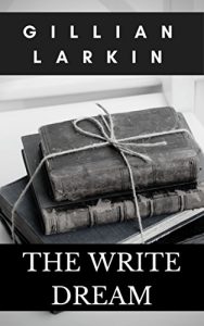 Baixar The Write Dream: A Cozy Ghost Mystery (Storage Ghost Mysteries Book 4) (English Edition) pdf, epub, eBook