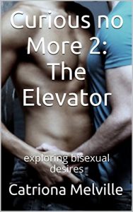 Baixar Curious no More 2: The Elevator: exploring bisexual desires (English Edition) pdf, epub, eBook