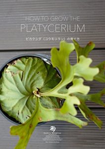 Baixar SODATEKATA (balesbooks) (Japanese Edition) pdf, epub, eBook