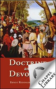 Baixar Doctrine and Devotion (English Edition) pdf, epub, eBook