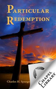 Baixar Particular Redemption (English Edition) pdf, epub, eBook