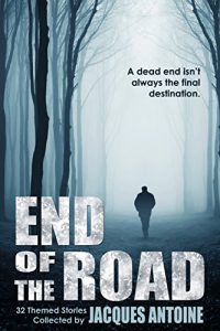 Baixar End of the Road (English Edition) pdf, epub, eBook