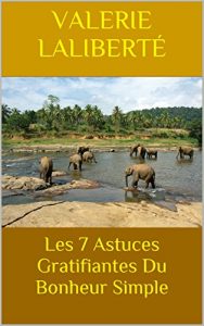 Baixar Les 7 Astuces Gratifiantes Du Bonheur Simple (French Edition) pdf, epub, eBook