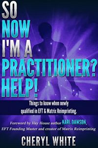 Baixar So Now I’m a Practitioner? Help!: Things to Know When Newly Qualified in EFT and Matrix Reimprinting (English Edition) pdf, epub, eBook