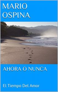 Baixar AHORA O NUNCA: El Tiempo del Amor (Spanish Edition) pdf, epub, eBook