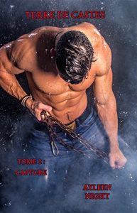 Baixar Terre de Castes tome 2: Capture (French Edition) pdf, epub, eBook
