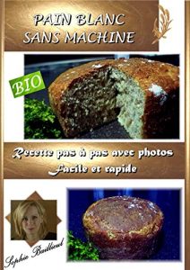 Baixar RECETTE DE PAIN BLANC BIO SANS MACHINE: RECETTE PAS A PAS FACILE ET RAPIDE (French Edition) pdf, epub, eBook