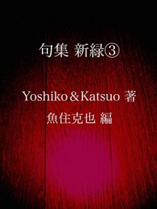 Baixar kushuu shinryoku san (Japanese Edition) pdf, epub, eBook
