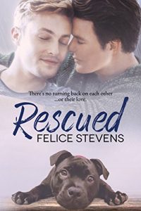 Baixar Rescued: A Rescued Hearts Novel (English Edition) pdf, epub, eBook