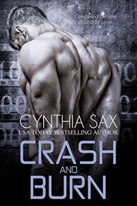 Baixar Crash And Burn (Cyborg Sizzle Book 3) (English Edition) pdf, epub, eBook