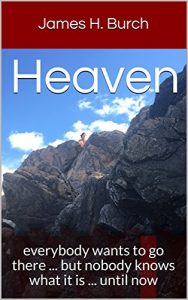 Baixar Heaven: everybody wants to go there … but nobody knows what it is … until now (English Edition) pdf, epub, eBook