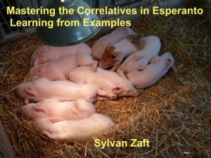Baixar Mastering the Correlatives in Esperanto: Learning from Examples (English Edition) pdf, epub, eBook