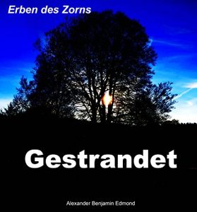 Baixar Gestrandet: Erben des Zorns (German Edition) pdf, epub, eBook